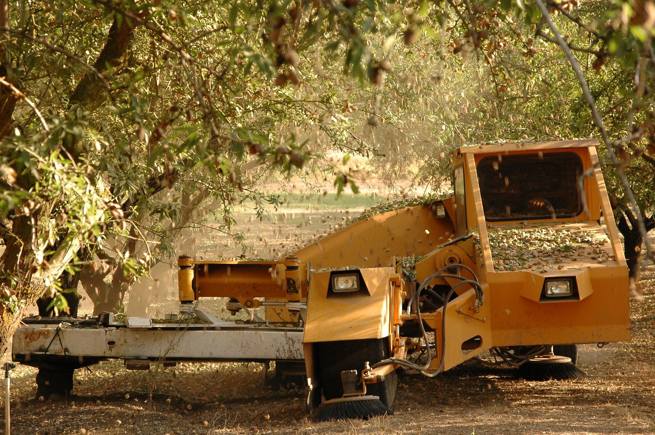 land clearing heavy equipment Central California